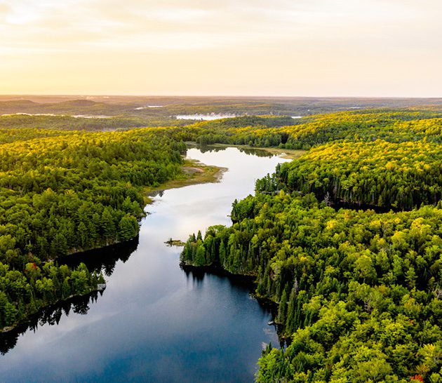 Aerial shot of forestry and lake.