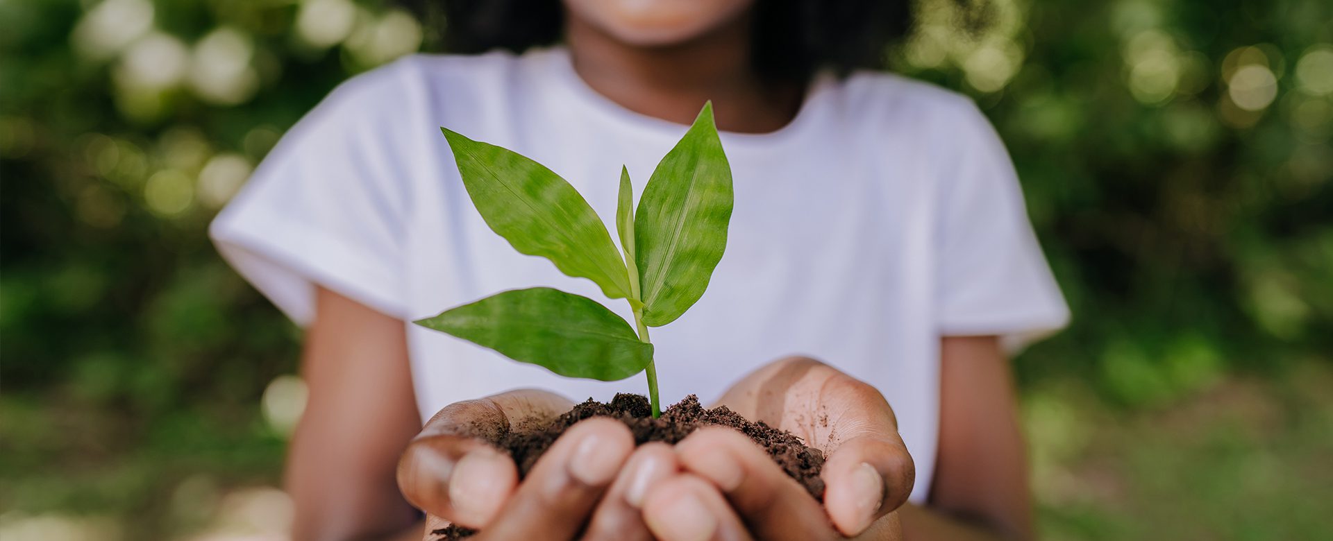 girl planting a small plant--sustainability