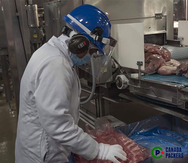 Team Member examining pork in the Brandon, Manitoba plant.