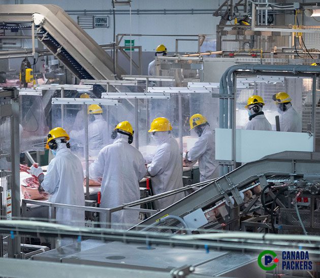 Wide view shot of Team Members in the Brandon, Manitoba plant
