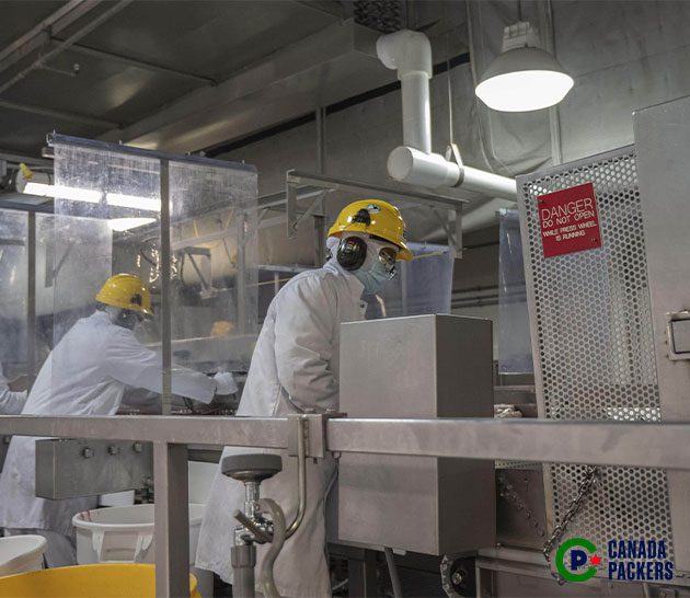 Team Members working in the Brandon, Manitoba plant.