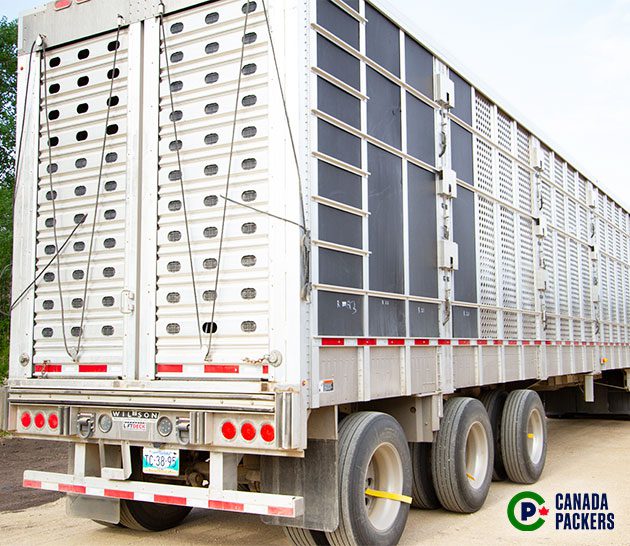 Hydraulic trailer designed with automated lifts.